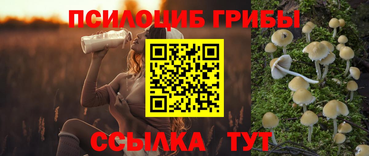 Псилоцибиновые грибы Psilocybine cubensis  Вход с VPN  Псилоцибиновые грибы Magic Shrooms  Майский 
